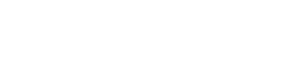 Lisa Pac official Logo